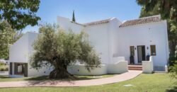 Charming upgraded 3-Bedroom Villa in Nueva Andalucia for sale