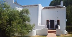 Charming upgraded 3-Bedroom Villa in Nueva Andalucia for sale