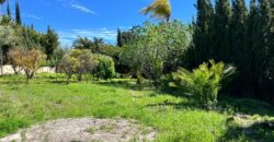 South-East Facing Plot: Ready-to-Build with Water Well