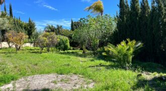 South-East Facing Plot: Ready-to-Build with Water Well