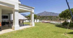 Spacious Townhouse in Puerto Banus