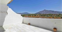 Spacious Townhouse in Puerto Banus