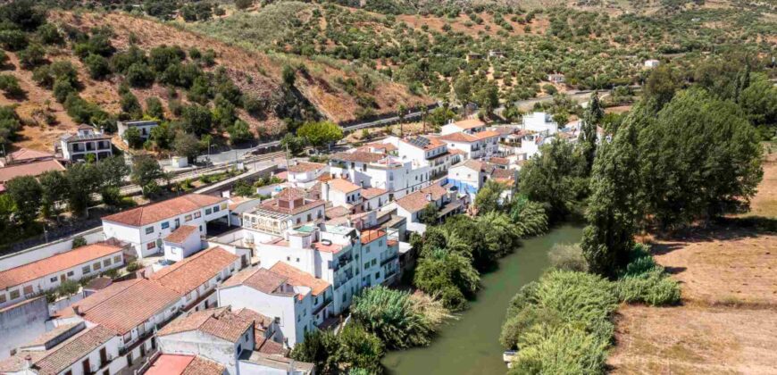 Marbella Golden Triangle Estate